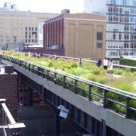 audiophones Orpheo High Line